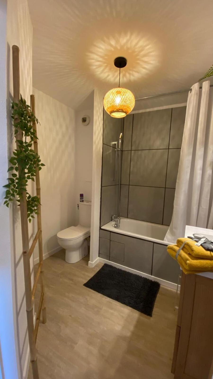 Le Sporting Land - Avec Entree Autonome, Parking Prive & Sa Piscine ! - Apartment Gaillac Luaran gambar