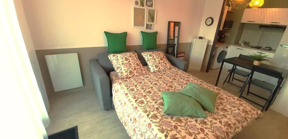 Le Sporting Land - Avec Entree Autonome, Parking Prive & Sa Piscine ! - Apartment Gaillac Luaran gambar