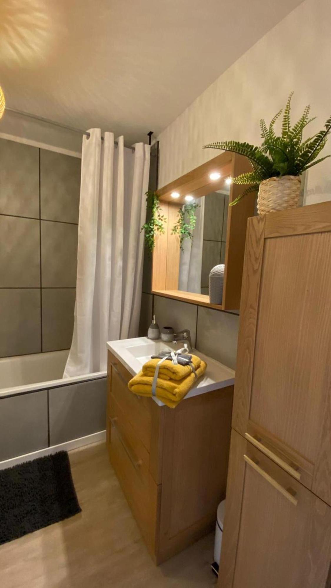 Le Sporting Land - Avec Entree Autonome, Parking Prive & Sa Piscine ! - Apartment Gaillac Luaran gambar