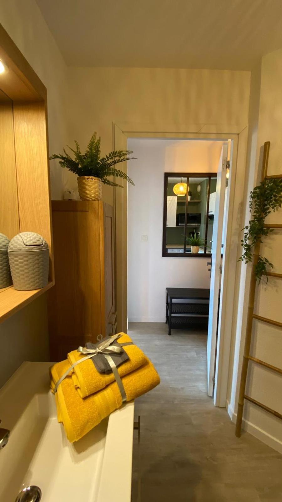 Le Sporting Land - Avec Entree Autonome, Parking Prive & Sa Piscine ! - Apartment Gaillac Luaran gambar